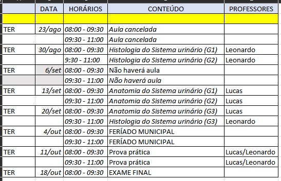 Cronograma atualizado